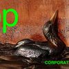 Nové logo BP