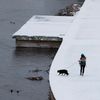 Vilnius, Litva, sníh.