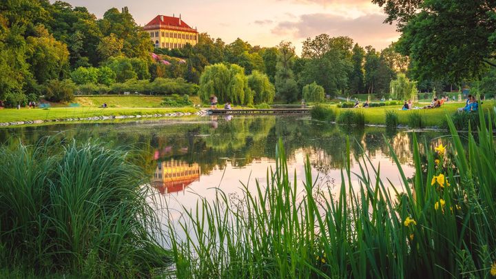 Raději bez Roundupu, žádá Praha. Ve Stromovce stříkají karcinogenní látkou i cesty
