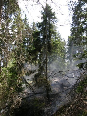 Požár v Kyjovském údolí v Národním parku České Švýcarsko