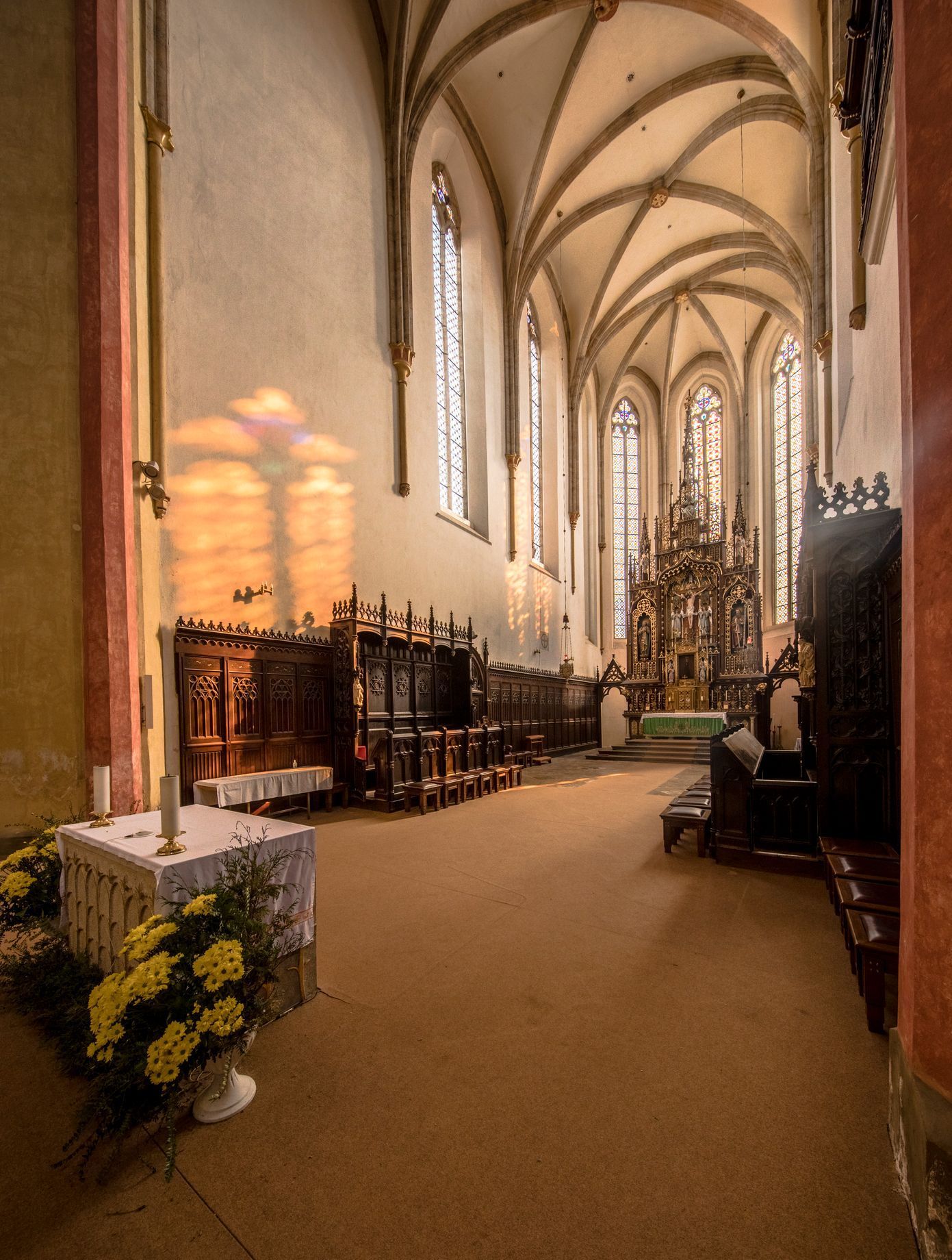 Jindřich Librarius, průzkum, archeologie