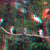 ZOO 3D