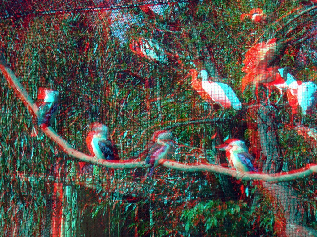 ZOO 3D