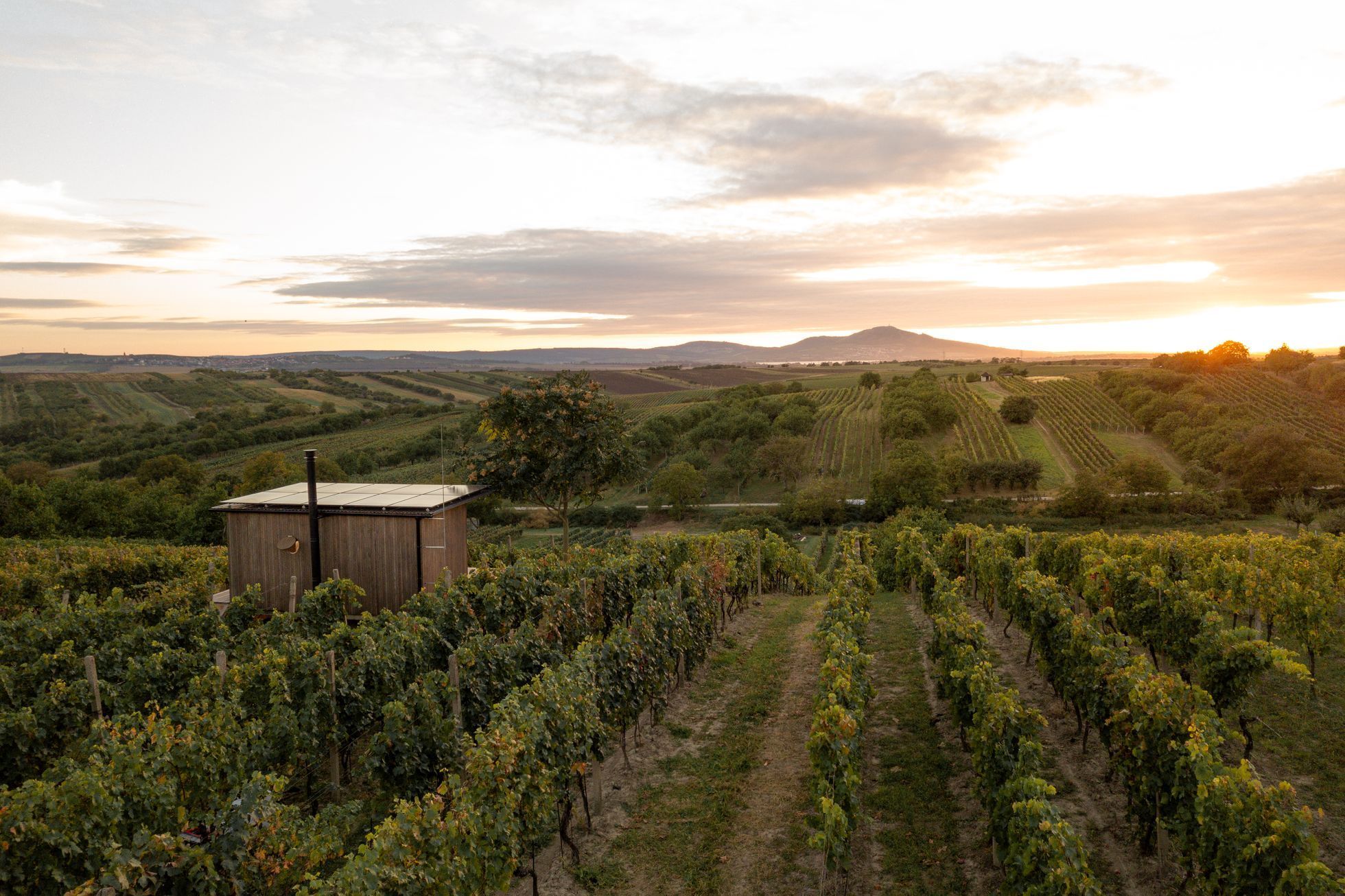 Glamping Ve vinohradě