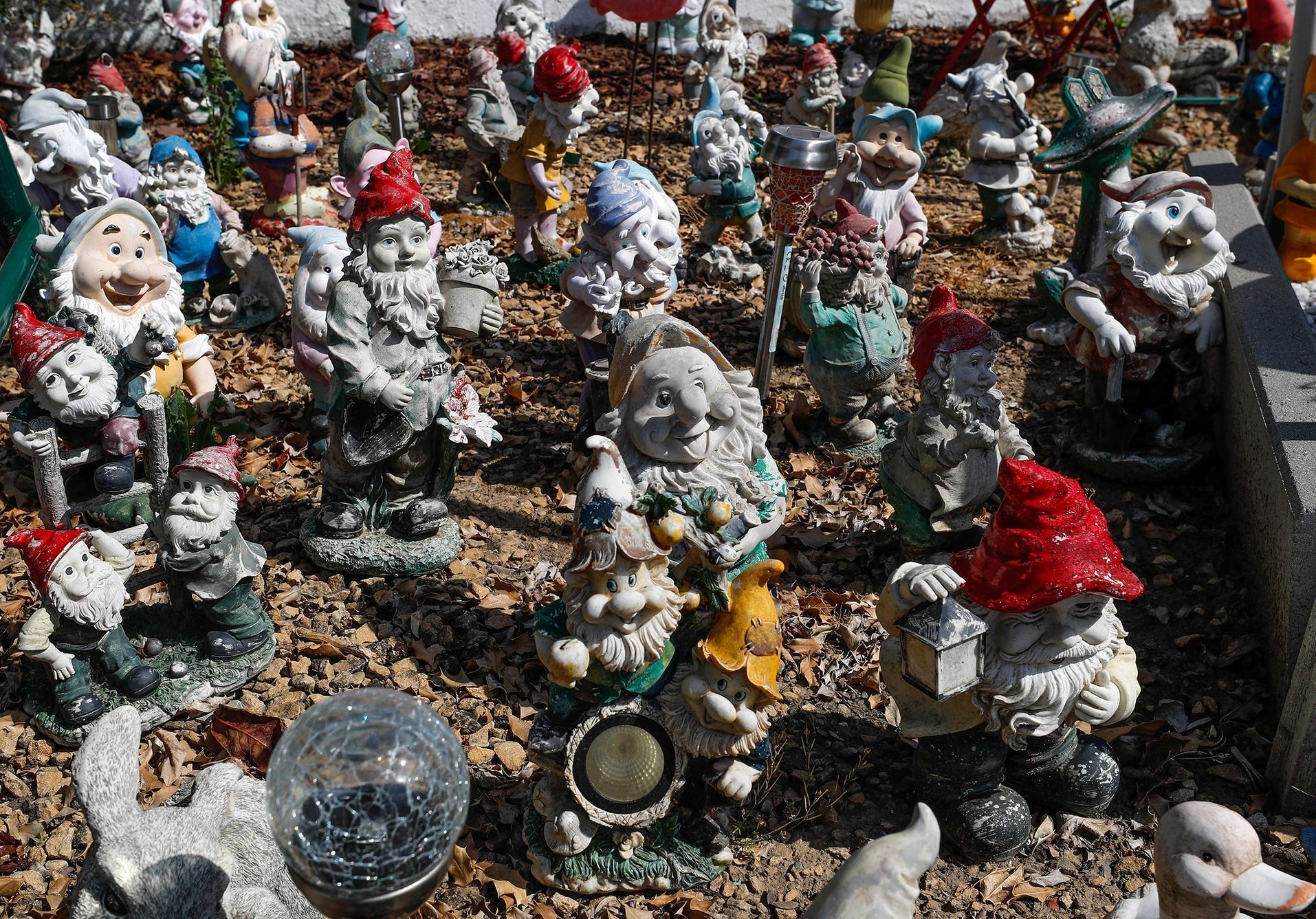 Fotogalerie / Sběratel trpaslíků v Belgii / Reuters / 12