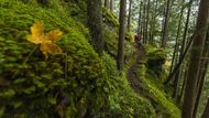 Lokalita: Grindelwald, Švýcarsko. Sportovec: Francois Bailly-Maitre. Fotograf: 
Grant Gunderson.