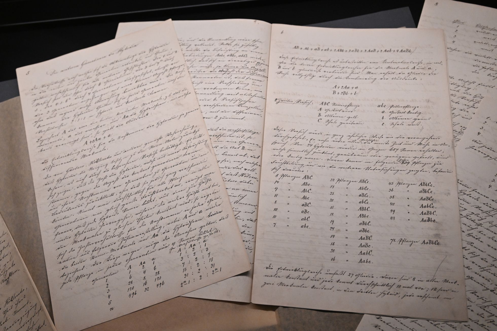 Mendelův salon, Muzeum starobrněnského opatství, 2022