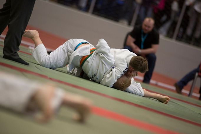 Judo, Grand Prix Ostrava 2017