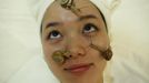 Snails crawl on the face of a woman during a demonstration of a new beauty treatment at Clinical-Salon Ci:z.Labo in central Tokyo July 17, 2013. Clinical-Salon Ci:z.Labo, which began the unique facial earlier this week, offers the 10,500 yen ($110) five-minute session with the snails as an optional add-on for customers who apply for a "Celeb Escargot Course", an hour-long treatment routine of massages and facials based on products made from snail slime that costs 24,150 yen. According to a beautician at the salon, the snail slime is believed to make one's skin supple as well as remove dry and scaly patches. Picture taken July 17, 2013. REUTERS/Issei Kato (JAPAN - Tags: SOCIETY) Published: Čec. 18, 2013, 6:01 dop.