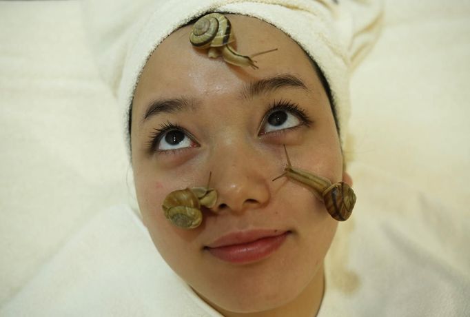 Snails crawl on the face of a woman during a demonstration of a new beauty treatment at Clinical-Salon Ci:z.Labo in central Tokyo July 17, 2013. Clinical-Salon Ci:z.Labo, which began the unique facial earlier this week, offers the 10,500 yen ($110) five-minute session with the snails as an optional add-on for customers who apply for a "Celeb Escargot Course", an hour-long treatment routine of massages and facials based on products made from snail slime that costs 24,150 yen. According to a beautician at the salon, the snail slime is believed to make one's skin supple as well as remove dry and scaly patches. Picture taken July 17, 2013. REUTERS/Issei Kato (JAPAN - Tags: SOCIETY) Published: Čec. 18, 2013, 6:01 dop.