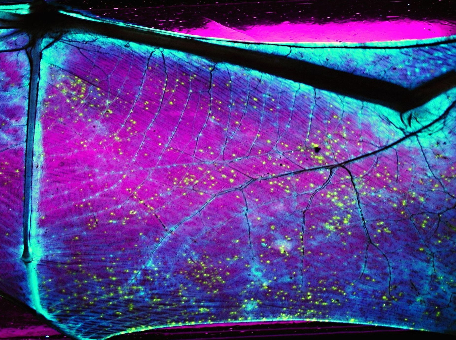 Ústav biologie obratlovců výstava Akademie věd