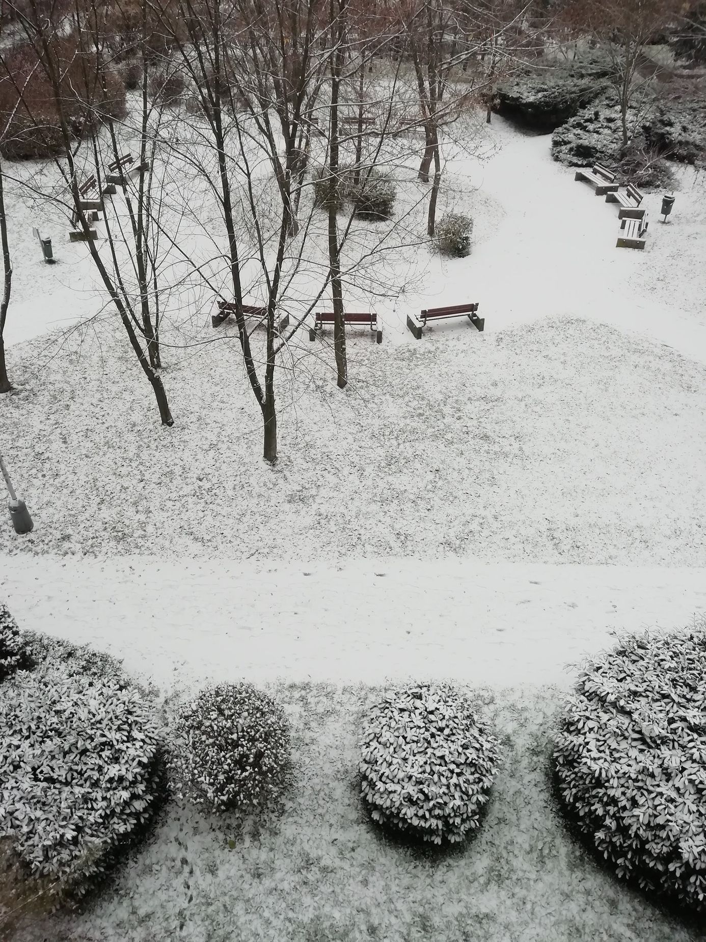 První sníh v Česku