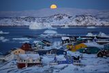 Fotografie z cyklu: Arktida - Život v třeskutém mrazu.
