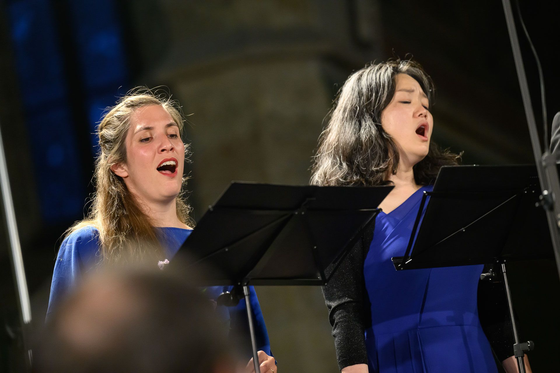 Letní slavnosti staré hudby, Ensemble Polyharmonique, Bach, koncert, Emauzy