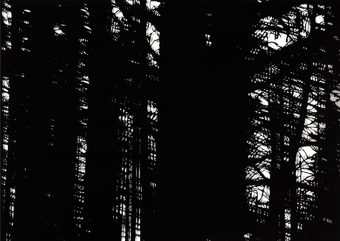 Alannah Robinsová: Nostalgie 2