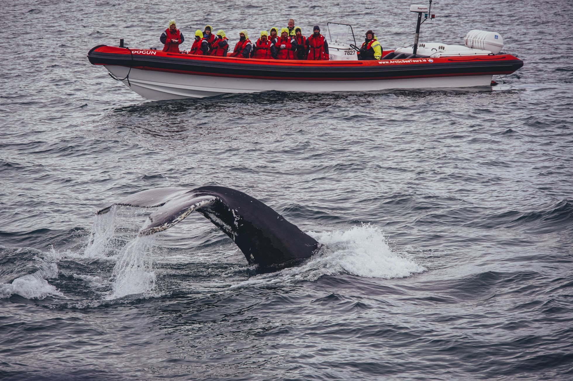Island je ostrovem kontrastů