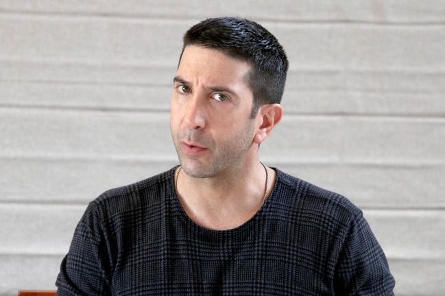 David Schwimmer