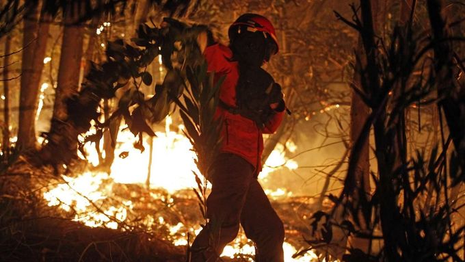 Portugalský hasič bojuje s požárem lesa.