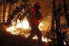 Portugalsko stále sužují rozsáhlé lesní požáry