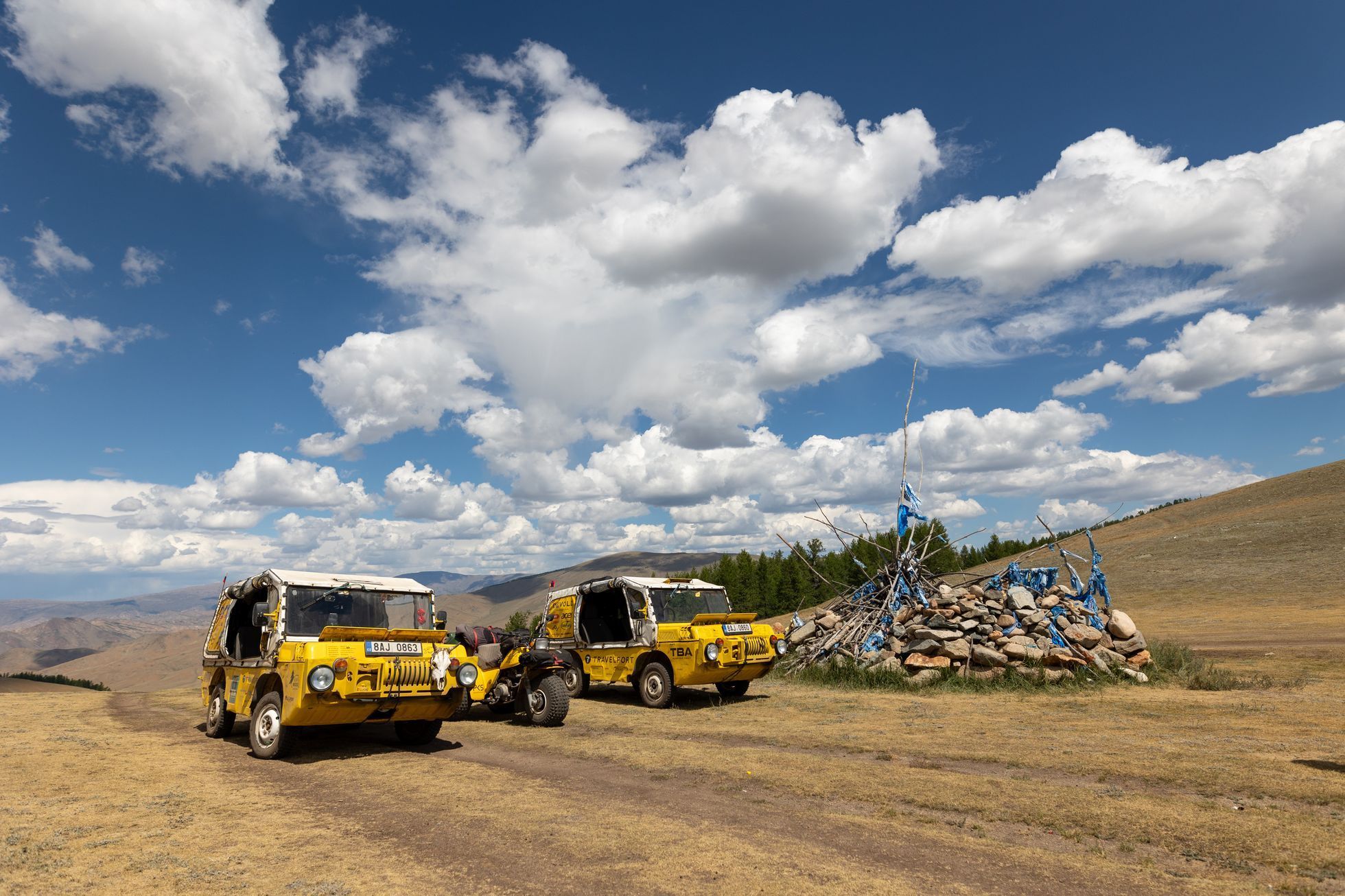 Žlutá žába pluje