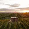 Glamping Ve vinohradě