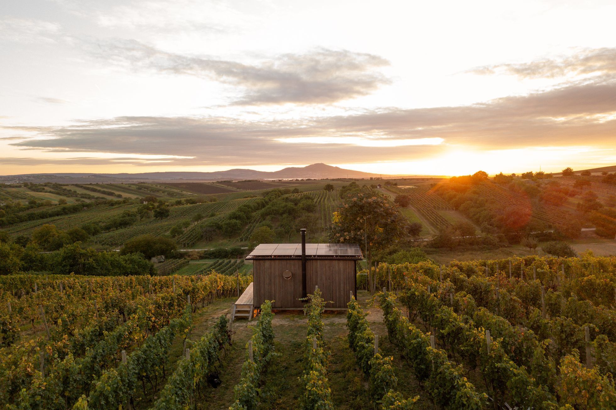 Glamping Ve vinohradě