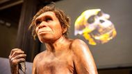 Slavnostní den pro pražské Národní muzeum, dnes začíná výstava, která poprvé v Evropě představuje jedny z nejstarších a nejcennějších fosilií lidských předků. Do Prahy dorazila Lucy a Selam, fosilie staré více než tři miliony let, které návštěvníci mohou obdivovat po dobu šedesáti dnů.