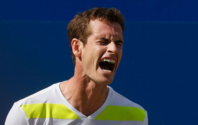 Britain's Andy Murray reacts during his match against Czech Republic's Radek Stepanek at the Queen's Club Championships in west London June 12, 2014. REUTERS/Suzanne Plun