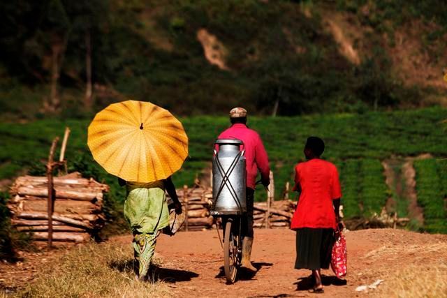 Rwanda před prezidentskými volbami