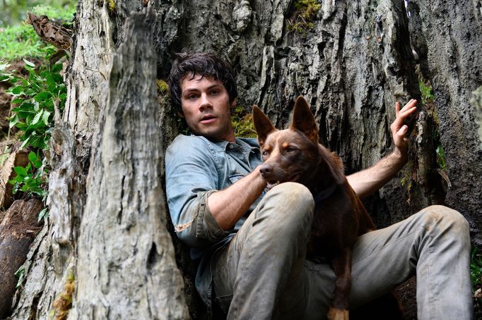 Dylan O'Brien jako Joel.