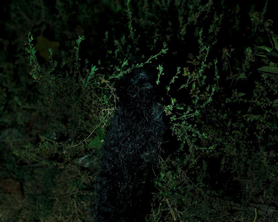 Fotografie z projektu Edition 365, British Journal of Photography