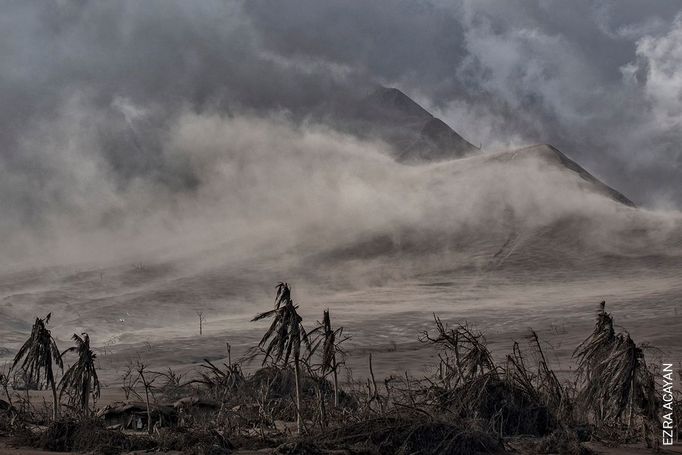 World Press Photo 2021: nejlepší fotkografie přírody a životního prostředí