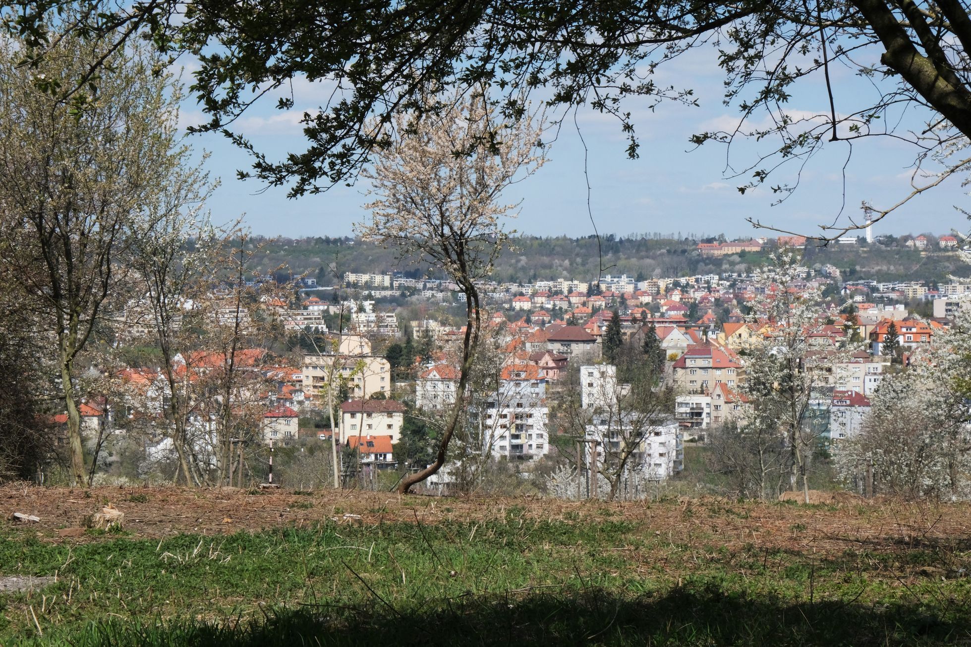 Koně na Dívčích hradech