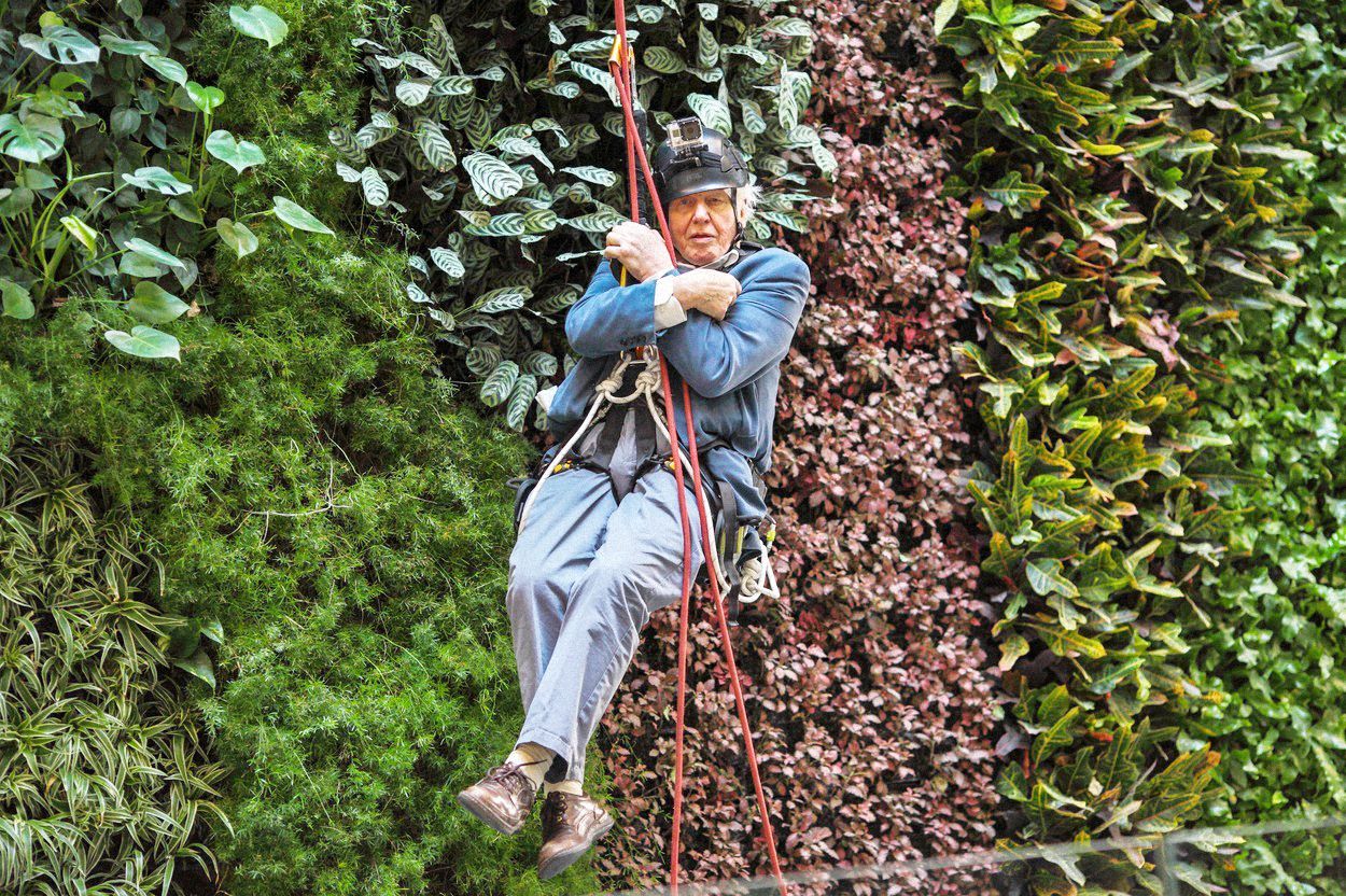 Jednorázové užití / Fotogalerie / Legendární britský přírodovědec David Attenborough slaví 95. narozeniny
