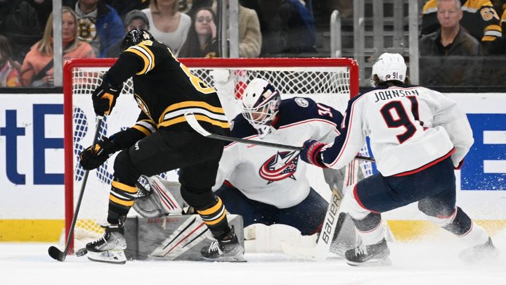 Pastrňákův gól už zajistil Bostonu pohár. To nejtěžší je ale před námi, varoval kouč; Zdroj foto: Reuters