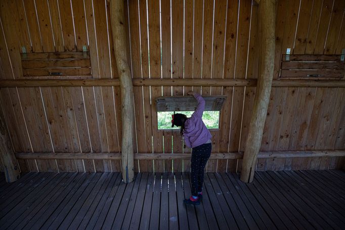 Zoo Dvůr Králové otevřela expozici o jihozápadní Africe zvanou West Cape.