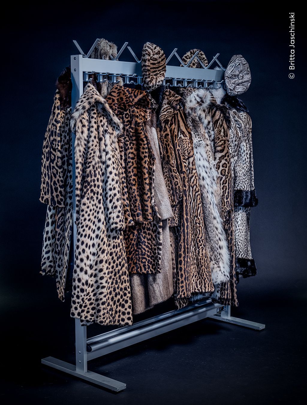 Wildlife Photographer of the Year 2023. Snímky nominované na cenu veřejnosti People Choice Award