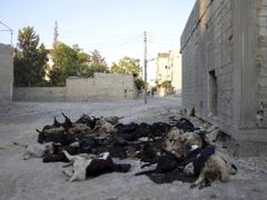 Mrtvá zvířata po chemickém útoku v Damašku loni v srpnu.