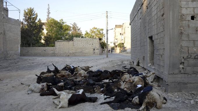 Mrtvá zvířata v damašské čtvrti Zamalka, zasažené chemikáliemi.