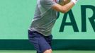 Davis Cup, Tomáš Berdych