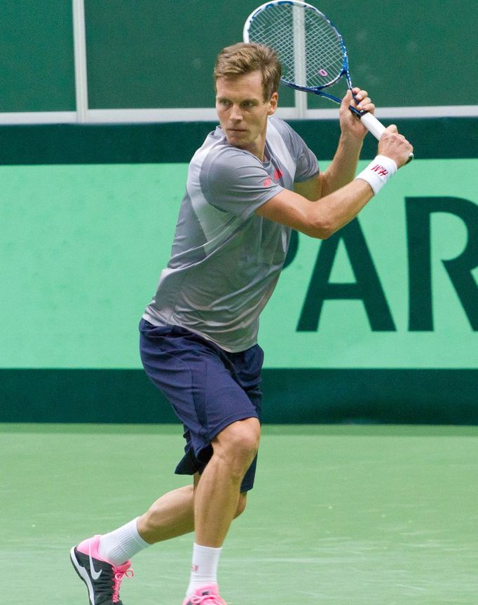 Davis Cup, Tomáš Berdych