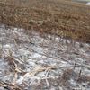Farmáři rozlili mléko do polí