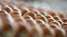 Eggs are stocked before being colored on March 30, 2012 at the egg dye factory in Thannhausen, southern Germany. During the Easter season, the plant produces daily around 180,000 hard-boiled and dyed eggs.