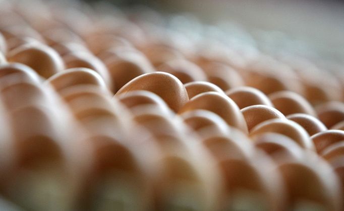 Eggs are stocked before being colored on March 30, 2012 at the egg dye factory in Thannhausen, southern Germany. During the Easter season, the plant produces daily around 180,000 hard-boiled and dyed eggs.