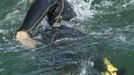 Diana Nyad wears protective garb designed to fend off stings from jellyfish tentacles as she trains off Key West, Florida, August 13, 2012. Nyad, who turns 63 Aug. 22, plans to begin her fourth attempt to swim from Havana, Cuba, to the Florida Keys on Sunday, August 19, 2012. She says that severe jellyfish stings thwarted her third attempt and plans to wear the new suit during night time swimming. Photo taken August 13, 2012. REUTERS/Presley Adamson/Florida Keys News Bureau/Handout (UNITED STATES - Tags: SOCIETY) NO SALES. NO ARCHIVES. FOR EDITORIAL USE ONLY. NOT FOR SALE FOR MARKETING OR ADVERTISING CAMPAIGNS. THIS IMAGE HAS BEEN SUPPLIED BY A THIRD PARTY. IT IS DISTRIBUTED, EXACTLY AS RECEIVED BY REUTERS, AS A SERVICE TO CLIENTS Published: Srp. 16, 2012, 9:15 odp.