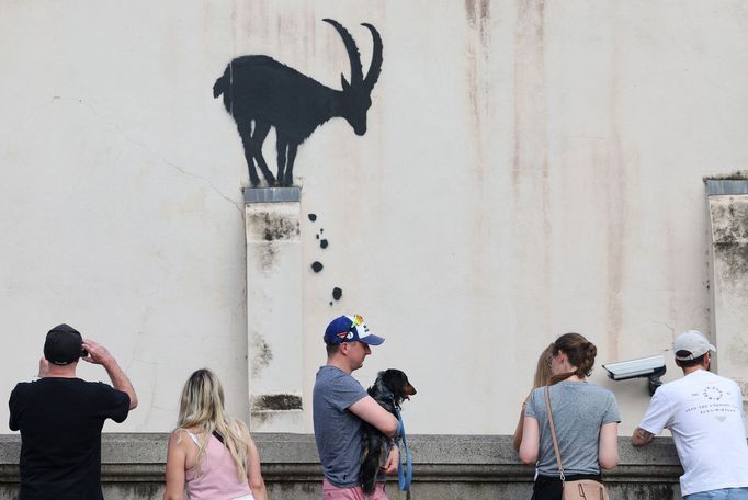 Banksy v Londýně minulý týden jako první nasprejoval kozu.