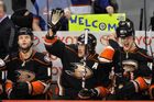 Selänne bude pokračovat v NHL, tvrdí finský deník
