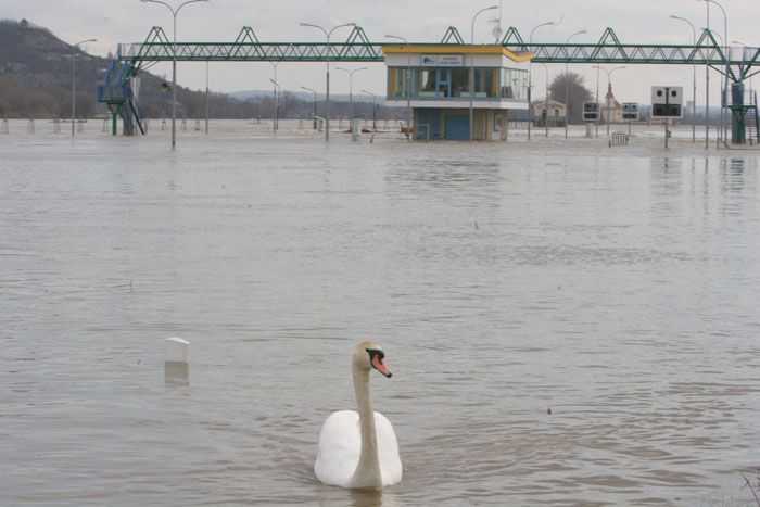 Povodně - KOPISTY 14