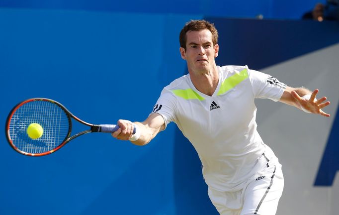 Britain's Andy Murray returns the ball to Czech Republic's Radek Stepanek during their match at the Queen's Club Championships in west London June 12, 2014. REUTERS/Suzan