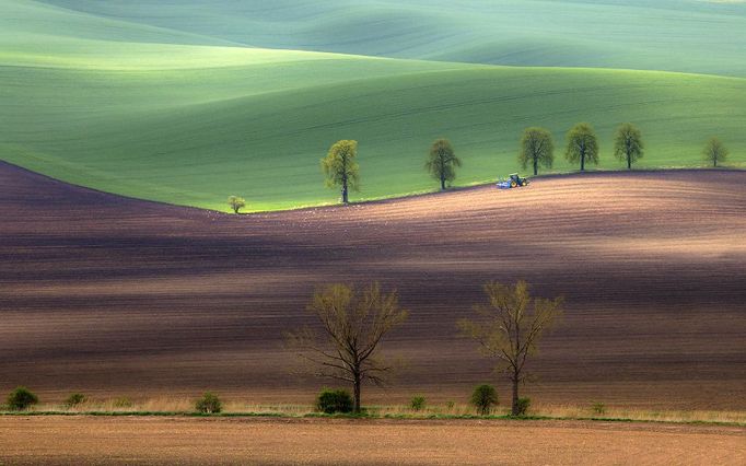 Radek Severa: jižní Morava